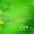 我的相册